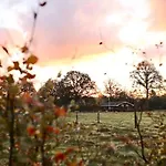 Heerlijk Op De Veluwe In * Putten