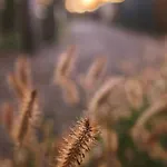 Heerlijk Op De Veluwe In Putten