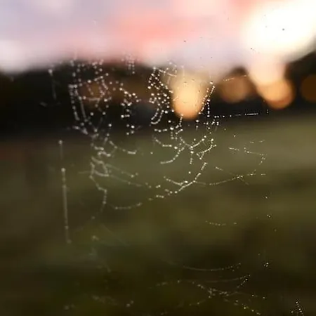 Heerlijk Op De Veluwe In * פוטן