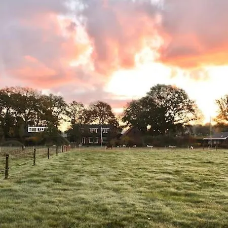 Heerlijk Op De Veluwe In *