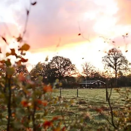 Heerlijk Op De Veluwe In * פוטן
