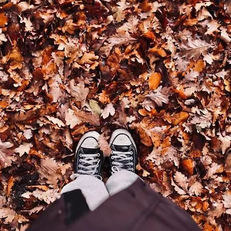 Heerlijk Op De Veluwe In *