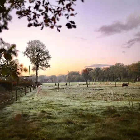 Heerlijk Op De Veluwe In *