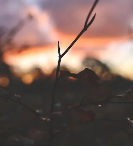 Heerlijk Op De Veluwe In شاليه *