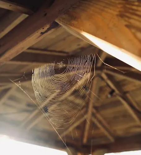 Heerlijk Op De Veluwe In *