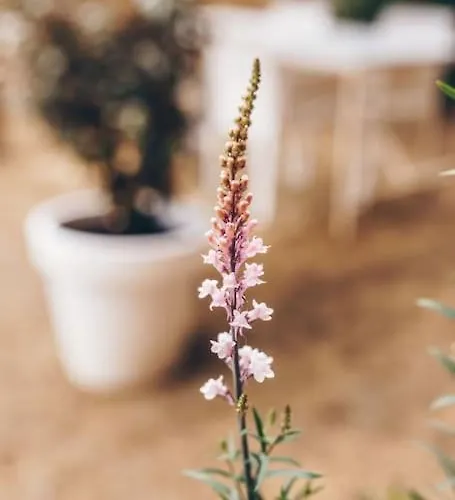 شاليه Heerlijk Op De Veluwe In *