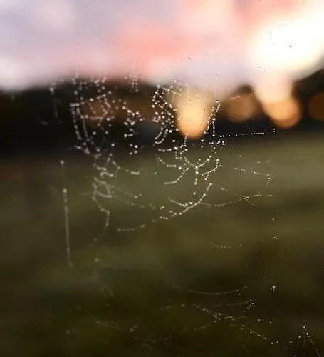 Heerlijk Op De Veluwe In * بوتِنْ