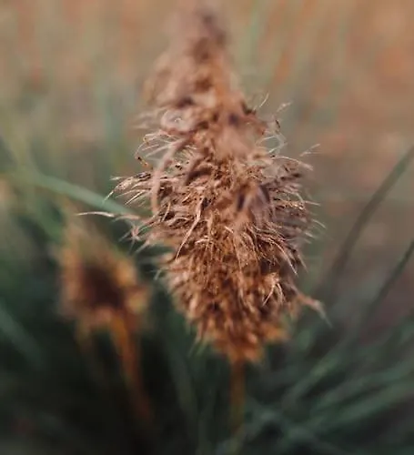 Heerlijk Op De Veluwe In * بوتِنْ
