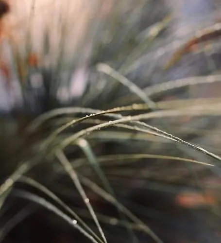 شاليه Heerlijk Op De Veluwe In بوتِنْ