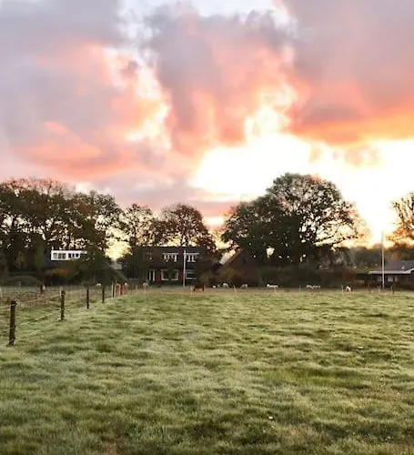 Heerlijk Op De Veluwe In *