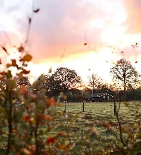 Heerlijk Op De Veluwe In * بوتِنْ