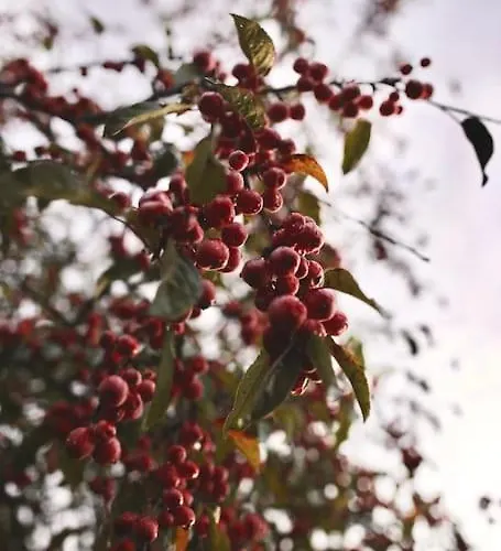 Heerlijk Op De Veluwe In شاليه