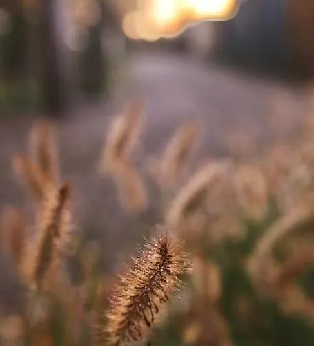 Heerlijk Op De Veluwe In بوتِنْ