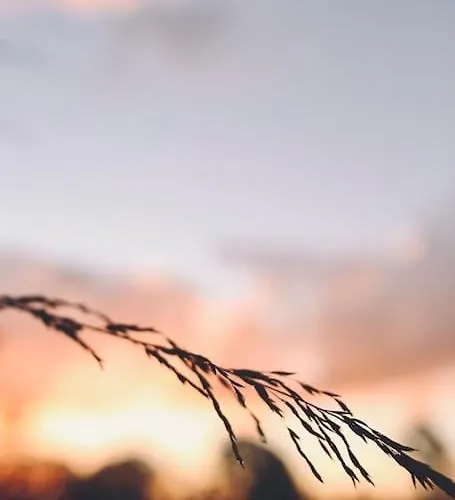 Heerlijk Op De Veluwe In * بوتِنْ