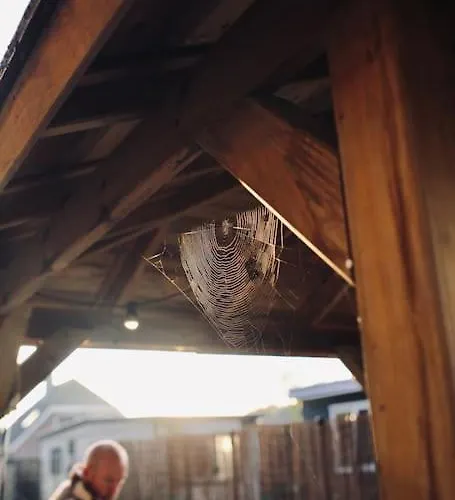 Heerlijk Op De Veluwe In بوتِنْ