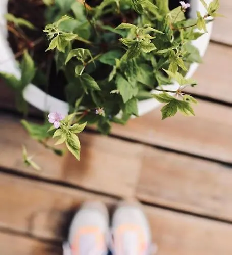 شاليه Heerlijk Op De Veluwe In