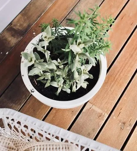 شاليه Heerlijk Op De Veluwe In *