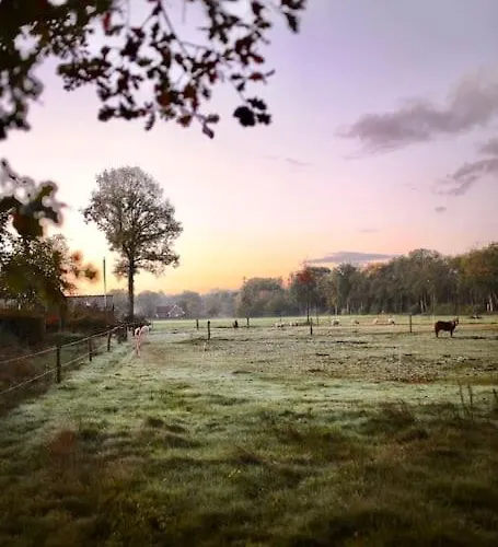 Heerlijk Op De Veluwe In *