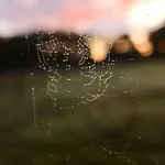 Heerlijk Op De Veluwe In * Пюттен