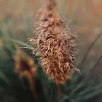 Heerlijk Op De Veluwe In * Пюттен
