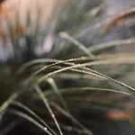 Шале Heerlijk Op De Veluwe In Пюттен