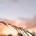 Heerlijk Op De Veluwe In * Пюттен