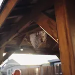 Heerlijk Op De Veluwe In Пюттен